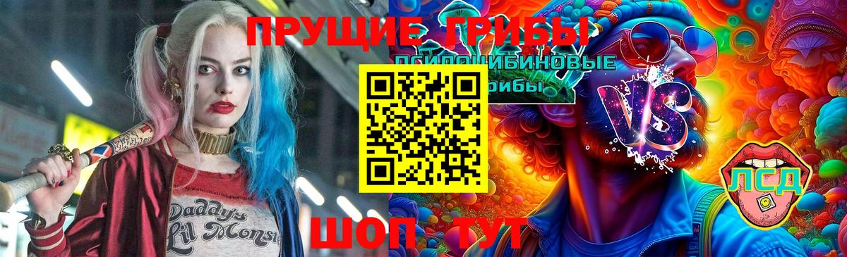 Галлюциногенные грибы GOLDEN TEACHER Томск