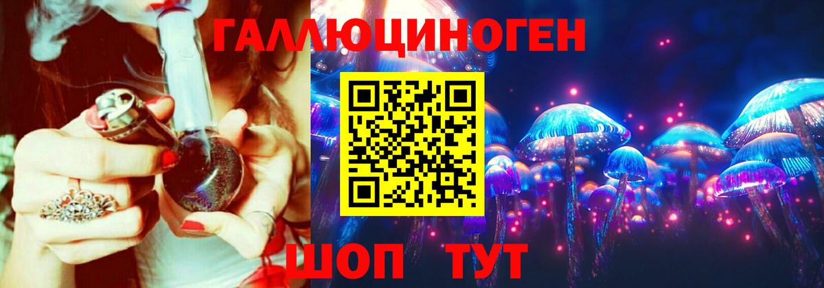 Меф Томск